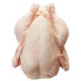 Frangos Halal Griller, Pés de Frango , Pedaços de Frango para Exportação.